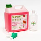 Средство для стёкол SEPTIVIT "BUBBLE GUM", 3 л 9406400 - фото 10280477