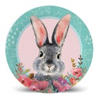 Набор бумажных тарелок «Кролик», 6 шт, 18 см - фото 10280580