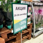 Рамка с интегрированным Т-держателем PFT-A4, цвет зелёный - Фото 7