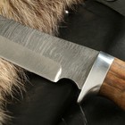 Нож туристический "Ворон" сталь - дамаск, рукоять - орех - Фото 3