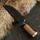 Нож туристический "Ворон" сталь - дамаск, рукоять - орех - Фото 4