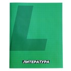 Предметная тетрадь по литературе Calligrata. MonoTone, 36 листов, в линейку, со справочным материалом, обложка из мелованной бумаги - Фото 4