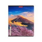 Тетрадь 96л кл ErichKrause Mysterious Japan, глянцевая ламинация, микс - фото 23310174