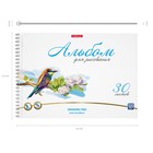 Альбом для рисования А4, 30 листов, блок 120 г/м², на спирали, Erich Krause «Birds», 100% белизна, перфорация на отрыв, твёрдая подложка - Фото 3