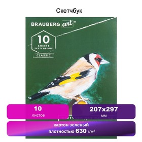

Альбом пастель 207*297мм BRAUBERG CLASSIC 10л склейка 630г/м² зелёный 105920