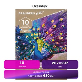 

Альбом пастель 207*297мм BRAUBERG CLASSIC 10л склейка 630г/м² серый некрашенный 105916