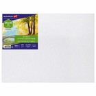 Холст на картоне (МДФ) хлопок 100% 30×40 см 280 г/м² акрил грунт м/з Brauberg 192186 - Фото 1
