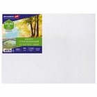 Холст на картоне (МДФ) хлопок 100% 35*45 см 280г/м2 акрил грунт м/з Brauberg 192187 - Фото 1