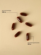 Лецитин подсолнечника, БАД для здоровья печени, 60 капсул - Фото 8