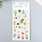 Наклейка пластик "Кактусы и цветы" 10,3х22,5 см - фото 320026359
