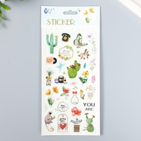 Наклейка пластик "Кактусы и цветы" 10,3х22,5 см