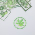 Наклейки для творчества "Теги - Зелёные листья" набор 30 шт 0,2х8х11 см - фото 7327259