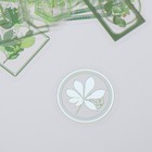 Наклейки для творчества "Теги - Зелёные листья" набор 30 шт 0,2х8х11 см - фото 7327260