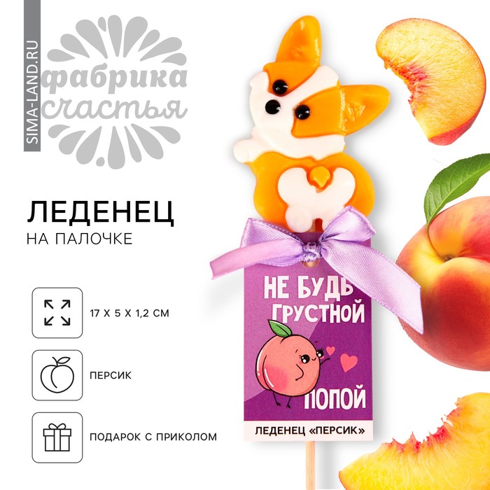 Леденец «Не будь грустной» на палочке, со вкусом персика, 25 г. - фото 1909103778