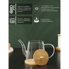 Чайник заварочный стеклянный с бамбуковой крышкой и металлическим фильтром BellaTenero «Бамбук», 600 мл, 19×11,3×12,2 см - фото 4373180