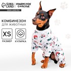 Костюм для животных «Паттерн Собачки», XS (ДС 27, ОШ 23-27, ОГ 41-45) - фото 319292185