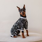 Костюм для животных «Мечты», L (ДС 39, ОШ 36-38, ОГ 60-62), черный - фото 24448887