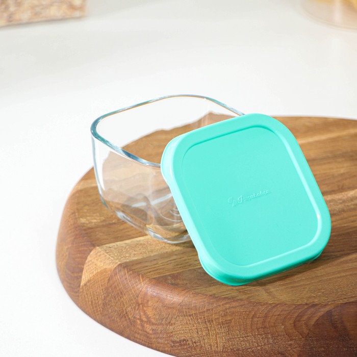 Изотермический контейнер cw snowbox 25l синий 381827. Snow box. Контейнер pasabahce 250 мл. Контейнер для продуктов pasabahce snow box 250мл с зеленой пл. Snowbox 53223.