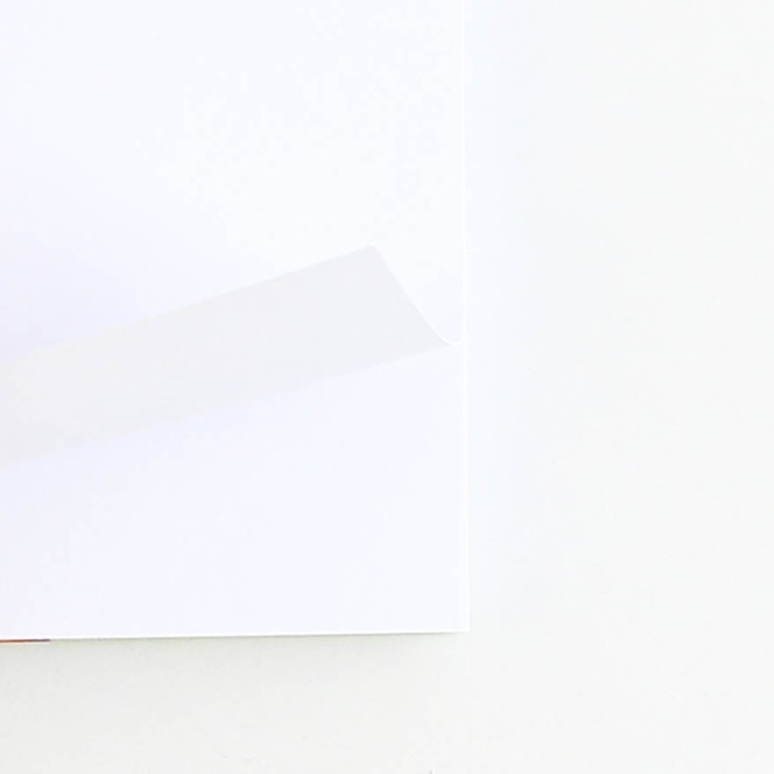 Двойной Блокнот на гребне, на выпускной «Выпускник детского сада» мягкая обложка, размер 15 см х 12 см, 48 листов - фото 1909104363