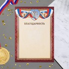 Благодарность "Символика РФ" коричневая рамка, бумага, А4 - фото 319293514