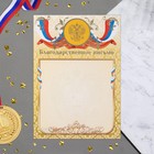 Благодарственное письмо "Символика РФ" золотой фон, бумага, А4 - фото 108744368