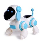 Собачка-робот «Умная Лотти», ходит, поёт, работает от батареек, цвета МИКС, уценка - Фото 4