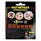 Магнитная головоломка по системе раннего развития, 5 деталей - Фото 7