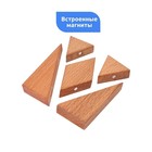 Магнитная головоломка по системе раннего развития, 5 деталей - Фото 4