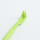 Набор выкручивателей для клещей, 2 размера, пластик, зелёный - Фото 4