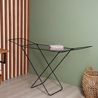 Сушилка для белья Доляна, рабочая длина 16 м, цвет чёрный - Фото 2