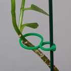 Набор креплений для растений, 4 х 3 см, набор 30 шт, "Greengo - фото 9271857