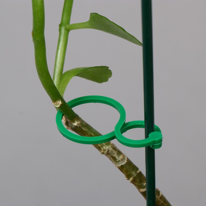 Набор креплений для растений, 4 х 3 см, набор 30 шт, "Greengo - фото 1898858366