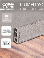 Дуб пепельный