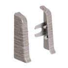 Дуб пепельный