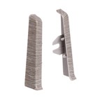 Дуб пепельный