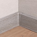 Дуб пепельный