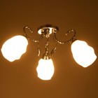 Светильник Charlotte 3х40Вт Е27 хром 57х57х22см - фото 49432332