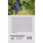 Виноград и другие любимые ягоды. Правила и советы для начинающих. Жвакин В.В. - Фото 2