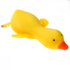 Мялка антистресс тянучка «Гусь», с песком, МИКС - Фото 3