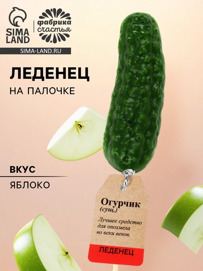 Леденец - огурец на палочке «Словарь», 43 г