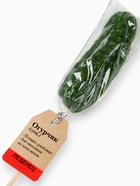 Леденец - огурец на палочке «Словарь», 43 г - Фото 3