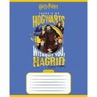 Тетрадь 18 листов, в клетку, "Гарри Поттер", обложка мелованный картон, скруглённые углы, МИКС - фото 319297618