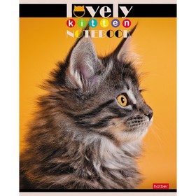 Тетрадь 60 листов в клетку, "Все любят котиков", обложка мелованный картон, блок офсет 65г/м², 5 видов
