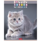Тетрадь 60 листов в клетку, "Все любят котиков", обложка мелованный картон, блок офсет 65г/м2, 5 видов, МИКС - Фото 4