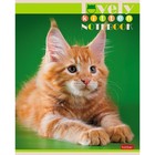 Тетрадь 60 листов в клетку, "Все любят котиков", обложка мелованный картон, блок офсет 65г/м2, 5 видов, МИКС - фото 8877379