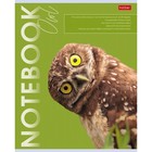 Тетрадь 80 листов в клетку "Дикие и свободные", обложка мелованный картон, блок офсет 65г/м2, 5 видов - фото 24550576