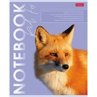 Тетрадь 80 листов в клетку "Дикие и свободные", обложка мелованный картон, блок офсет 65г/м2, 5 видов - фото 24550577