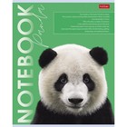 Тетрадь 80 листов в клетку "Дикие и свободные", обложка мелованный картон, блок офсет 65г/м2, 5 видов - фото 24550578