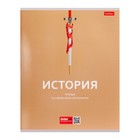 Комплект предметных тетрадей, 48 листов, 10 предметов "Ничего лишнего", обложка мелованный картон - фото 22048401