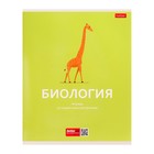 Комплект предметных тетрадей, 48 листов, 10 предметов "Ничего лишнего", обложка мелованный картон - фото 22048409